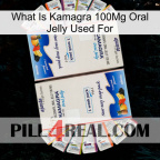 What Is Kamagra 100Mg Oral Jelly Used For kamagra1